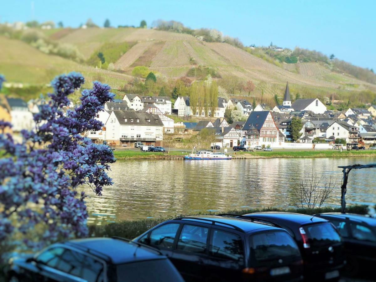 Mosel Ausblick Zell an der Mosel Exterior foto